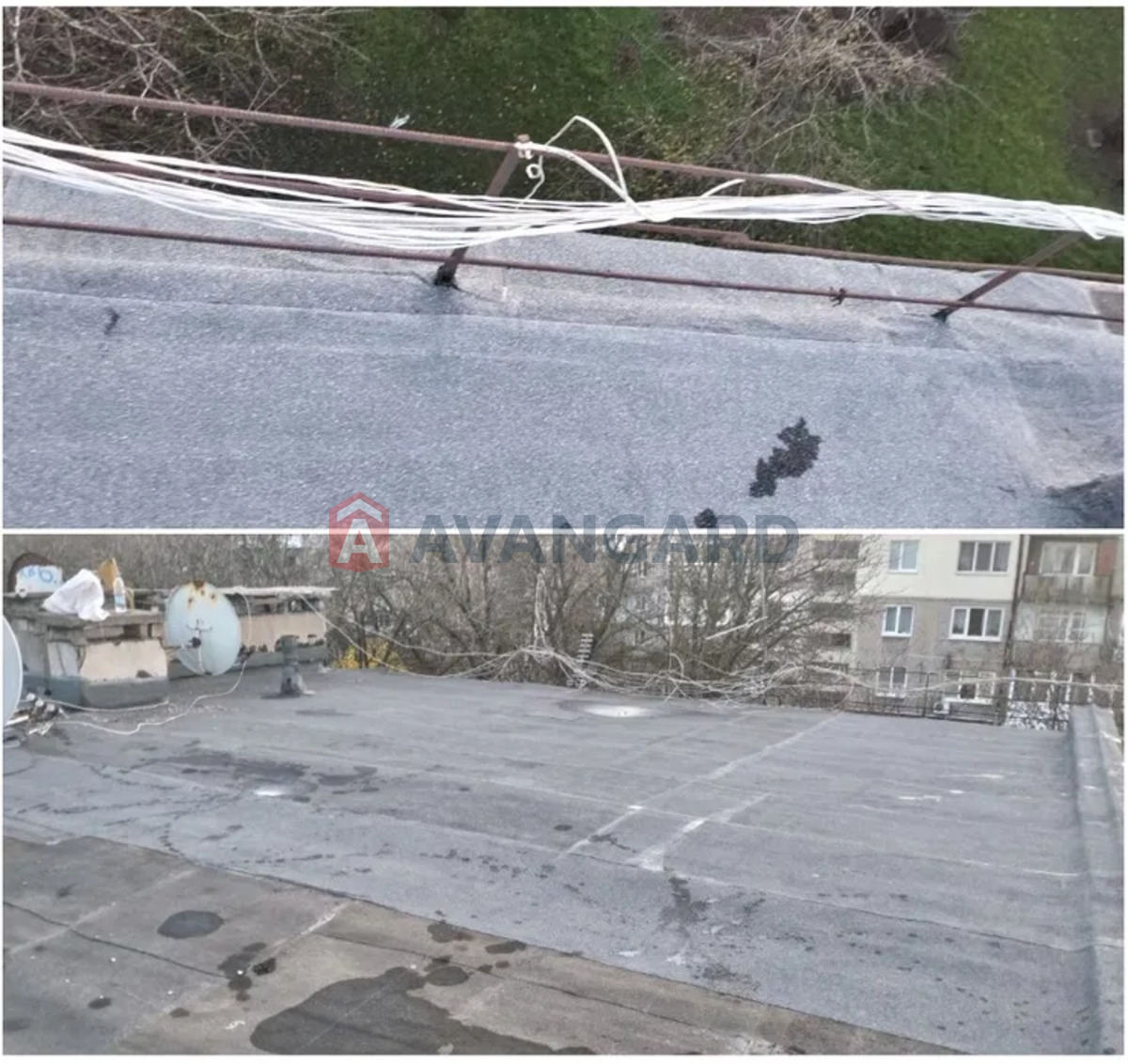 1 ��. ��������, 28/-/5 ��. �., 5/5 ������ ���� 22