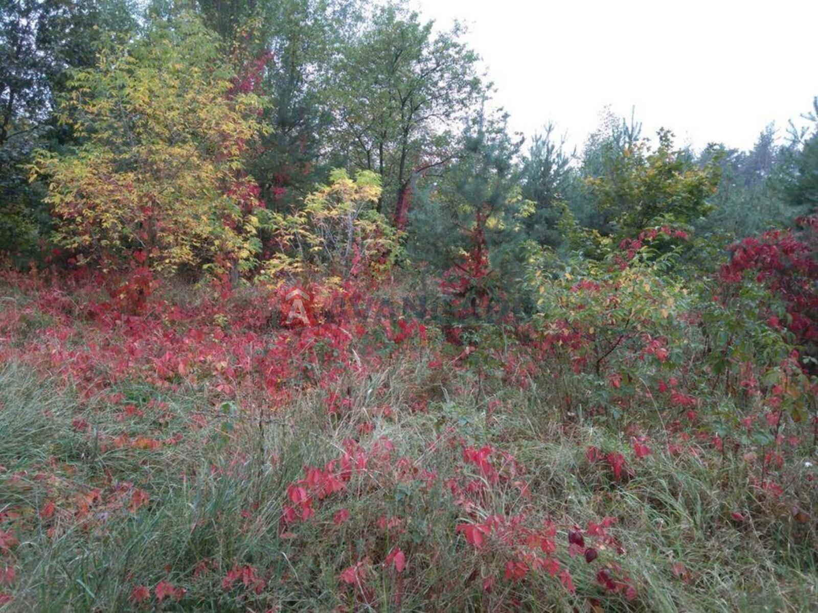 2 ��. ��������, 81/-/20 ��. �., 3/6 ������ ���� 16