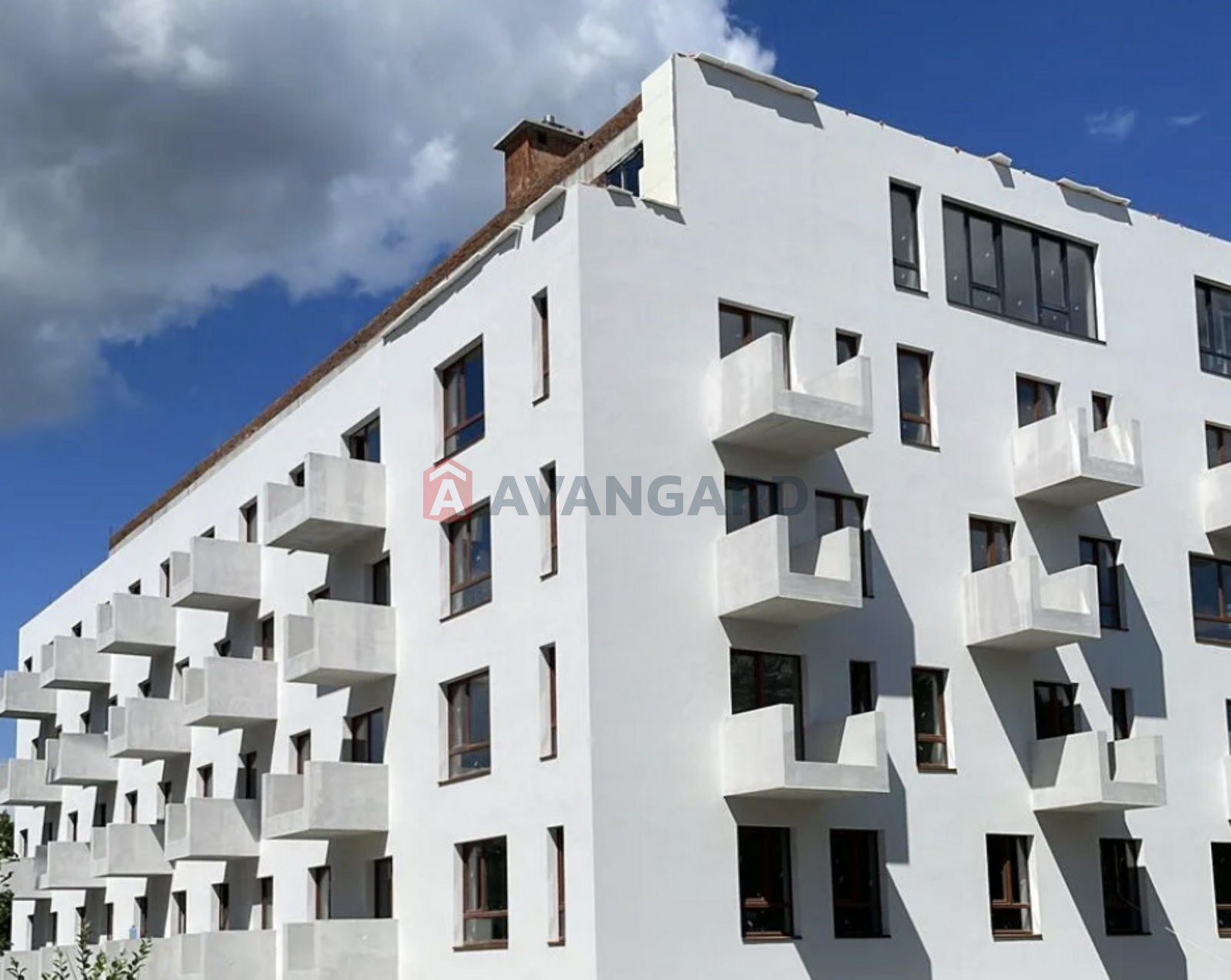 2 . , 63,31/22,74/21,55 . ., 2/6   1