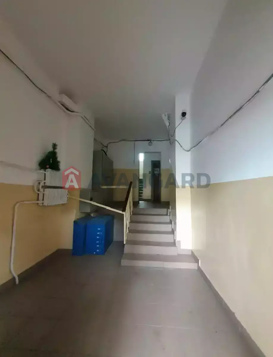 3 ��. ��������, 63/38/8 ��. �., 2/9 ������ ���� 30