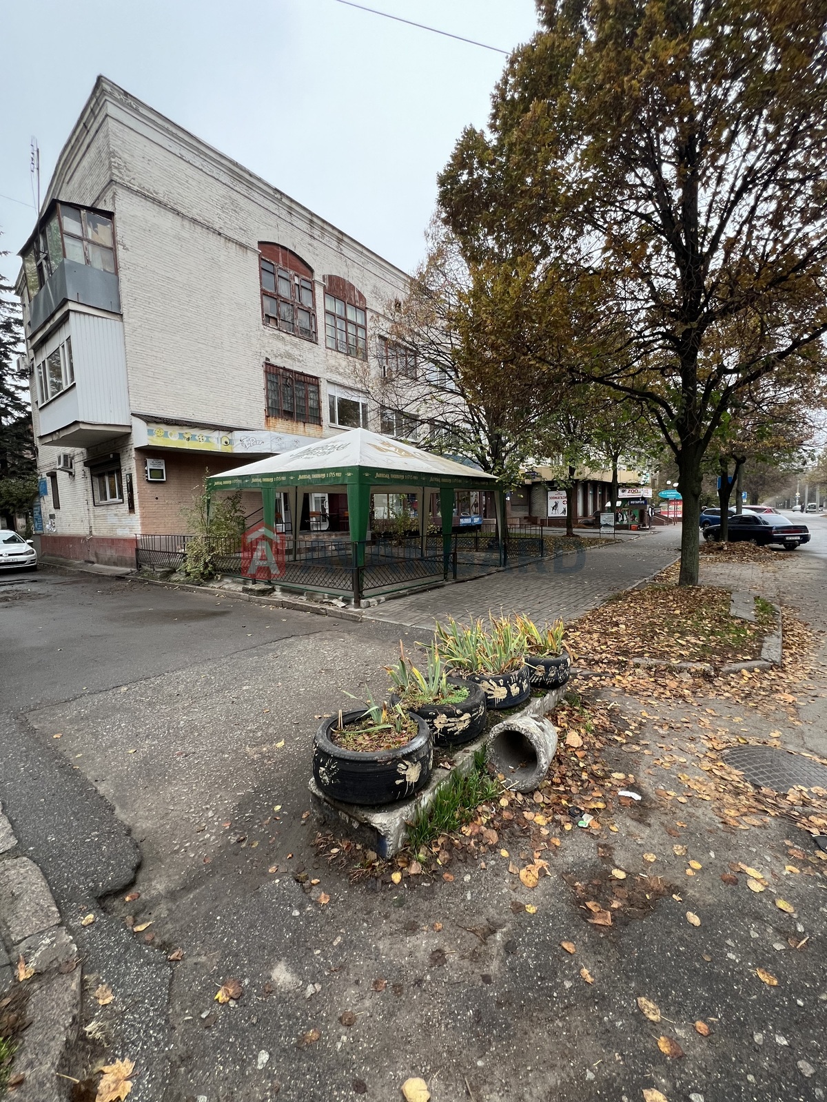 2 ��. ��������, 50/33/5 ��. �., 3/3 ������ ���� 11