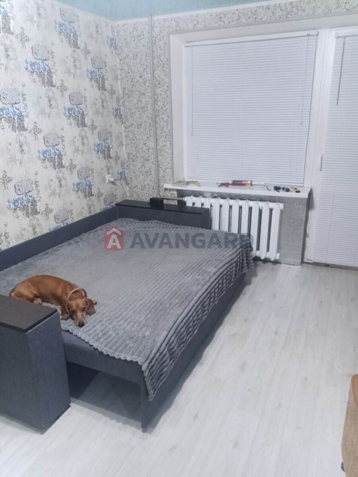 2 ����. ��������, 45/-/8 ��. �., 2/5 ���� ���� 7