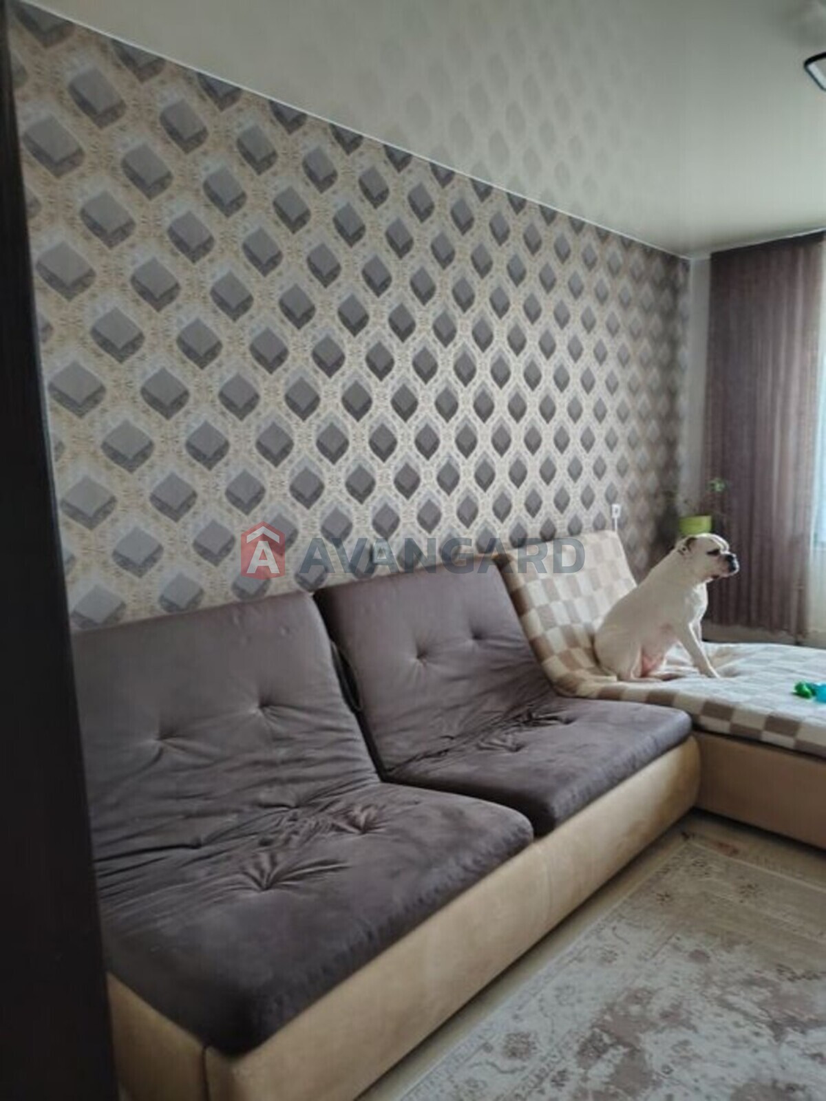 4 ��. ��������, 88/-/16 ��. �., 6/9 ������ ���� 15