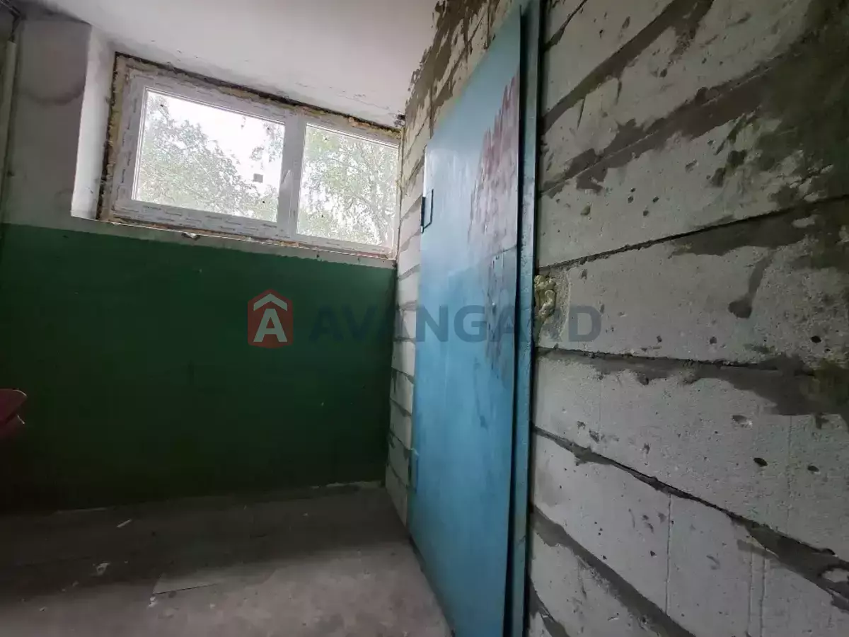 3 ��. ��������, 66/-/10 ��. �., 5/9 ������ ���� 24