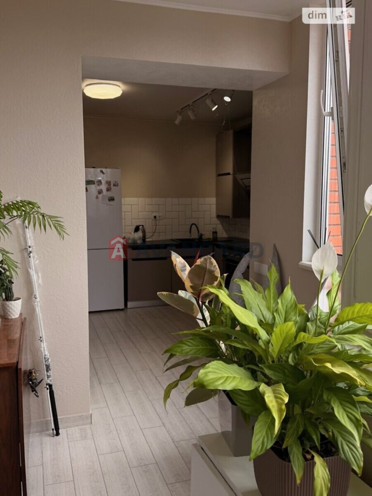 1 ��. ��������, 44/16/16 ��. �., 7/13 ������ ���� 6