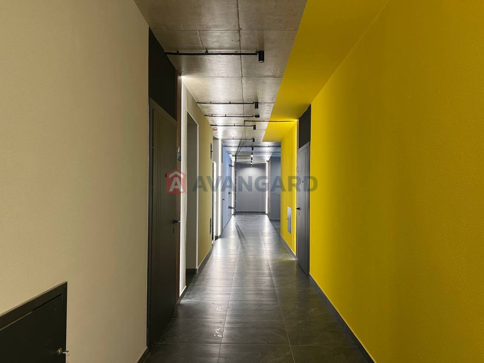 2 ����. ��������, 63.5/30/13 ��. �., 6/6 ���� ���� 19