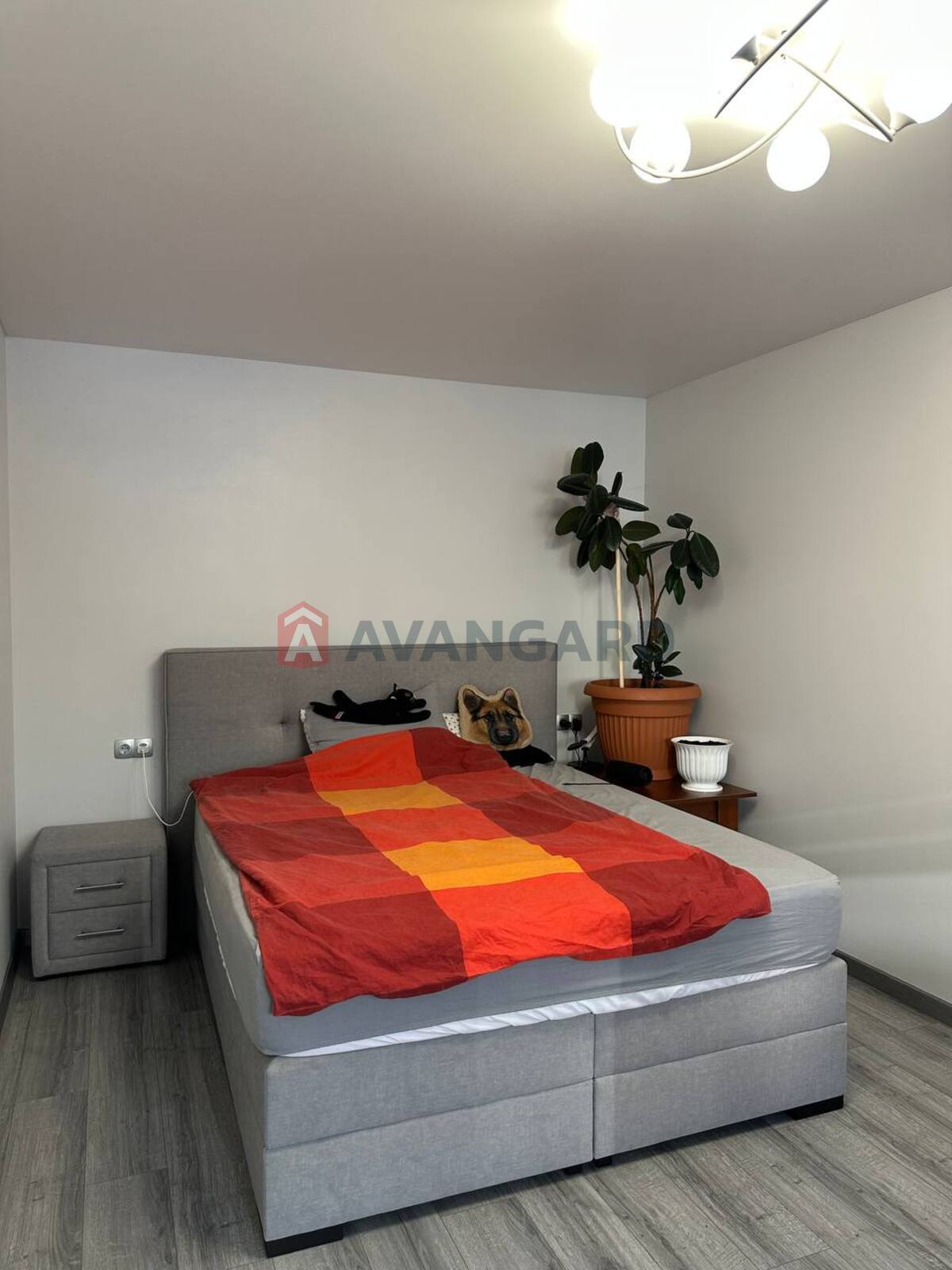 2 ��. ��������, 60/50/5 ��. �., 1/5 ������ ���� 3