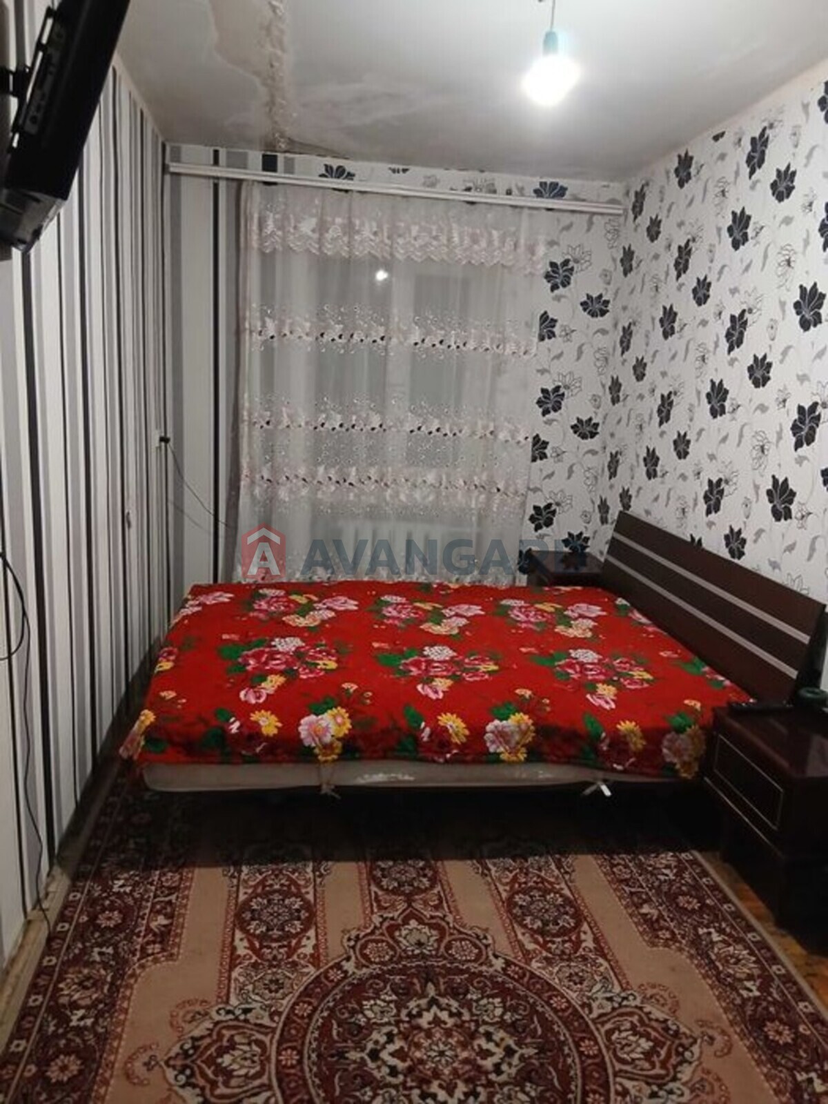 3 ��. ��������, 56/-/6 ��. �., 5/5 ������ ���� 5