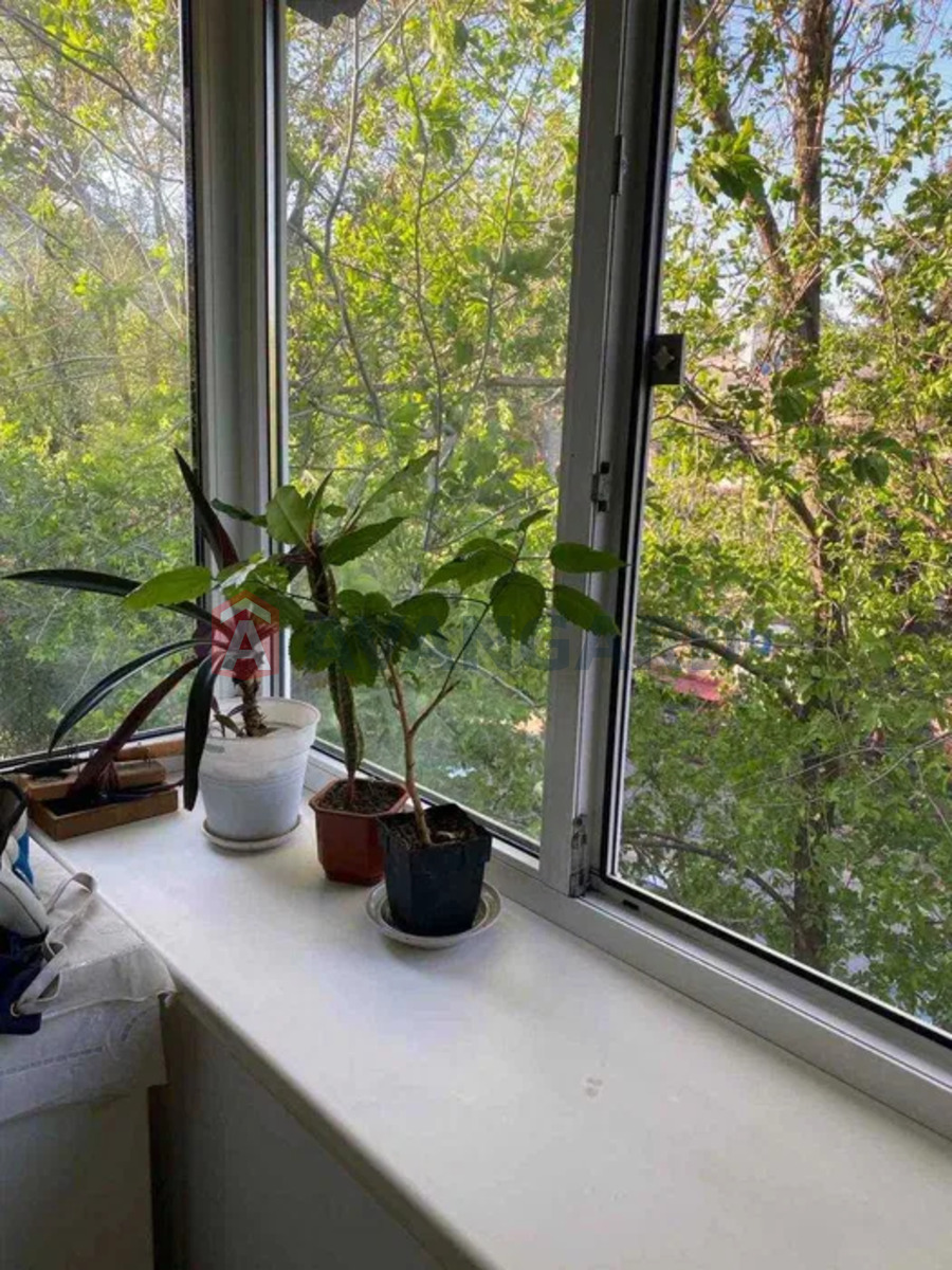 3 ��. ��������, 64/-/8 ��. �., 5/5 ������ ���� 13