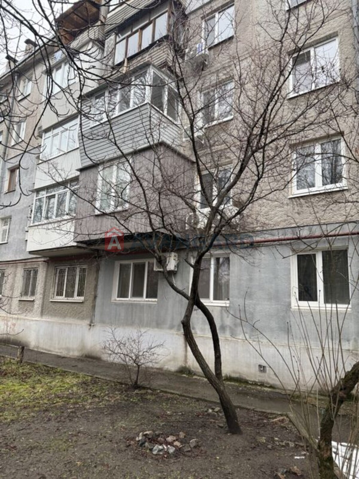 4 ����. ��������, 66/-/7 ��. �., 2/5 ���� ���� 8