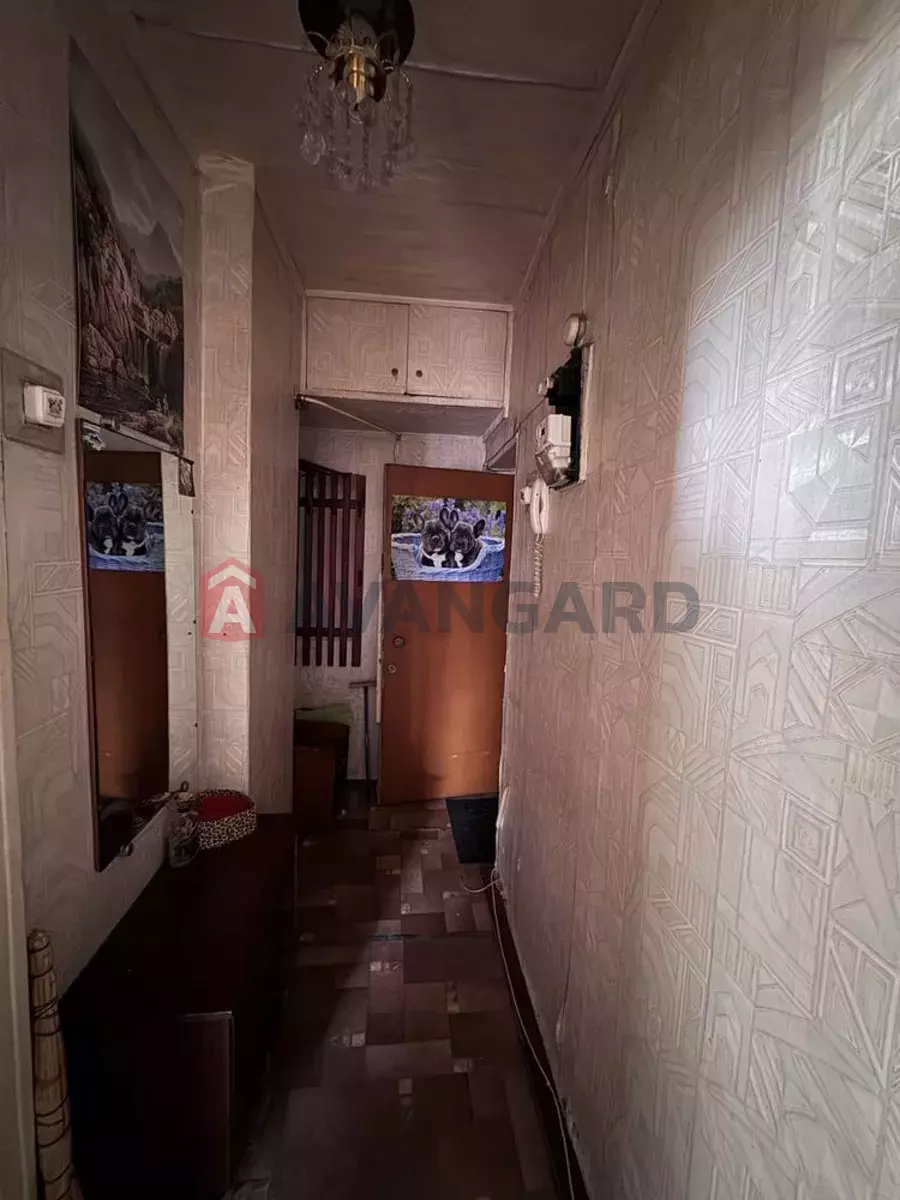 2 ��. ��������, 45/-/6 ��. �., 5/5 ������ ���� 3