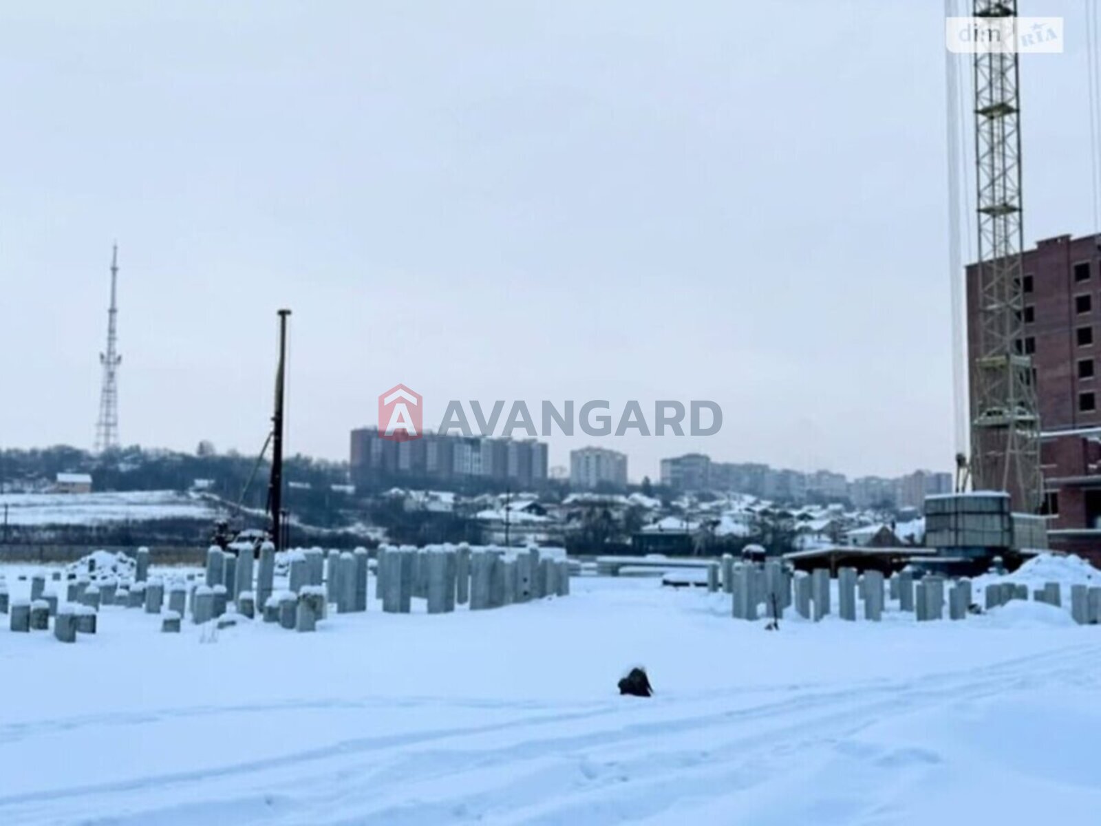 3 ��. ��������, 106/-/- ��. �., 1/11 ������ ���� 7