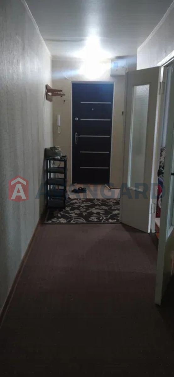 3 ��. ��������, 66/-/10 ��. �., 7/9 ������ ���� 6