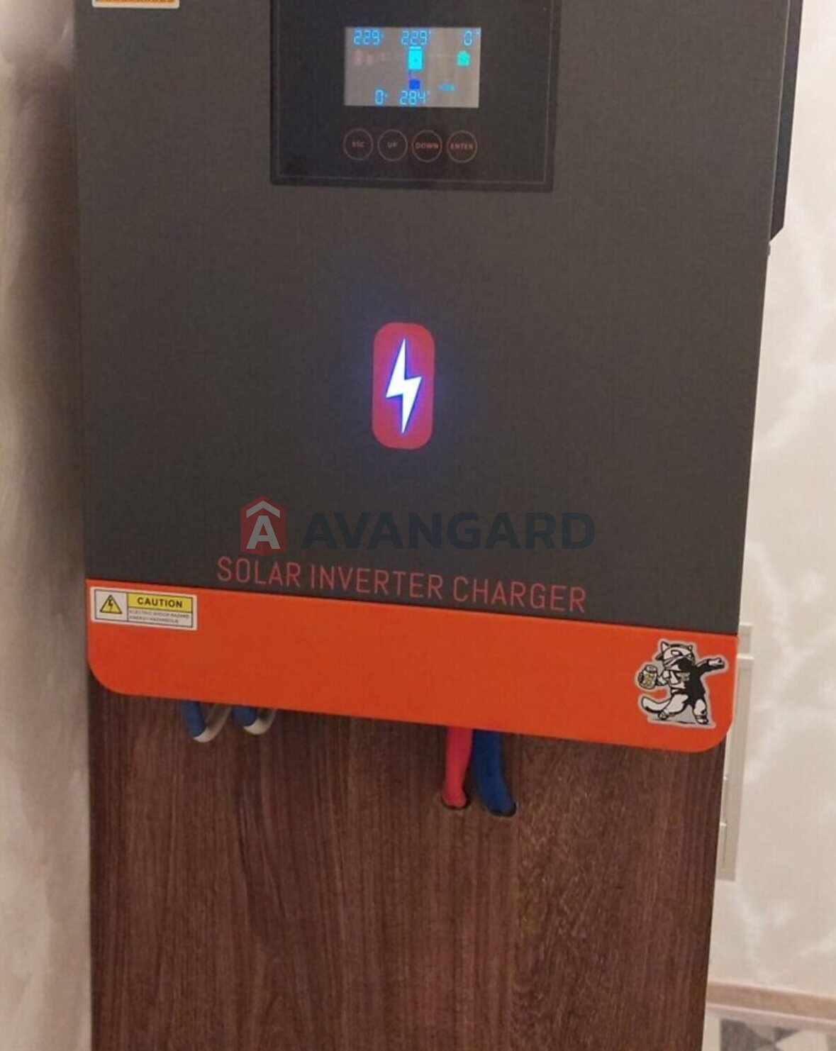 1 ����. ��������, 57/20/23 ��. �., 6/8 ���� ���� 29