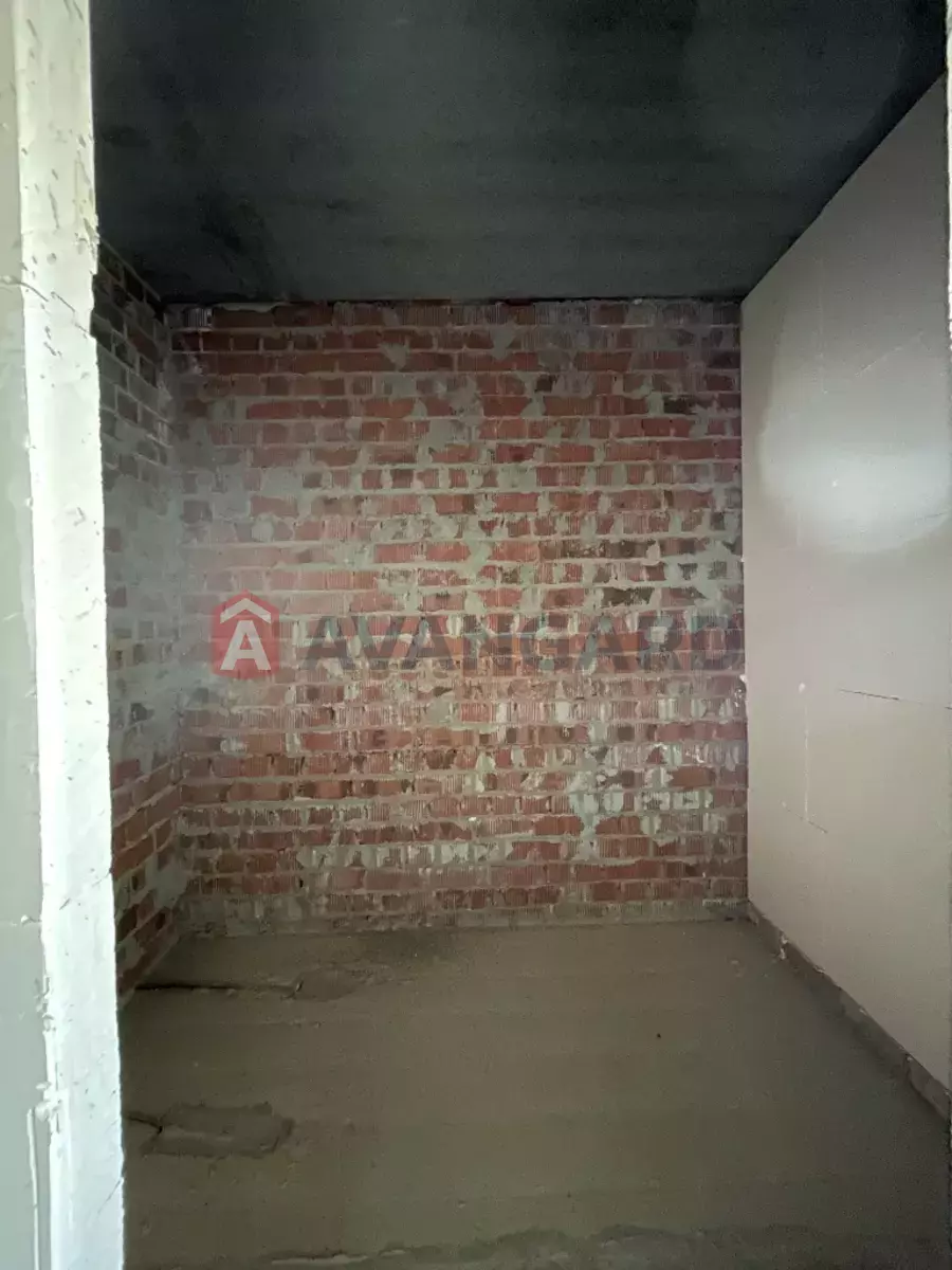 2 ��. ��������, 71/-/- ��. �., 10/10 ������ ���� 11