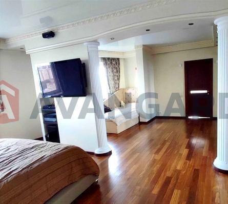 5 . , 236/120/17 . ., 23/24   3