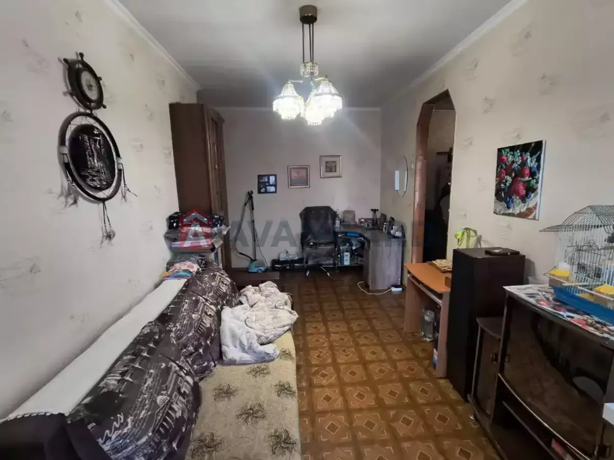 3 ����. ��������, 55/35/6 ��. �., 2/5 ���� ���� 17