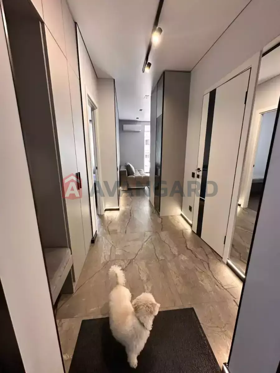 2 ��. ��������, 44/22/16 ��. �., 4/10 ������ ���� 4