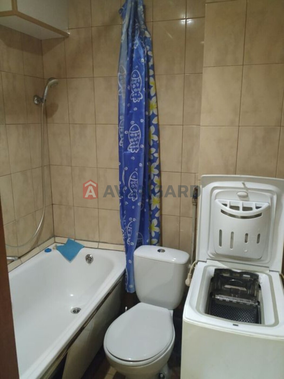 1 . , 30/-/6 . ., 1/5   6