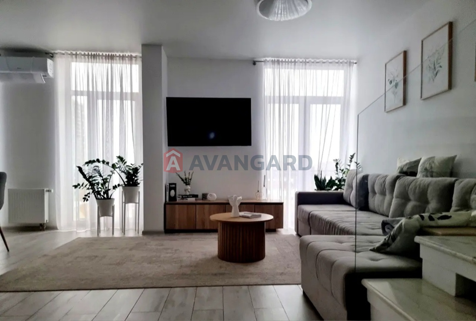 3 ����. ��������, 81/23/36 ��. �., 9/9 ���� ���� 2