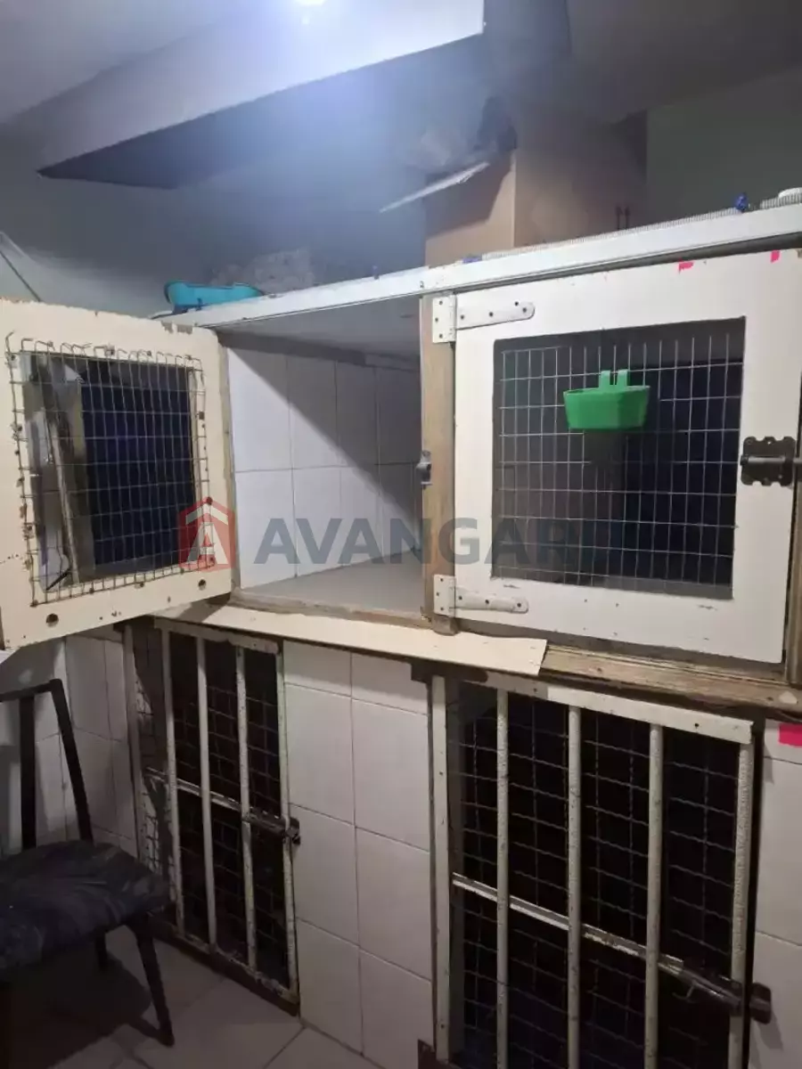 3 ��. ��������, 41/28/9 ��. �., 1/2 ������ ���� 11