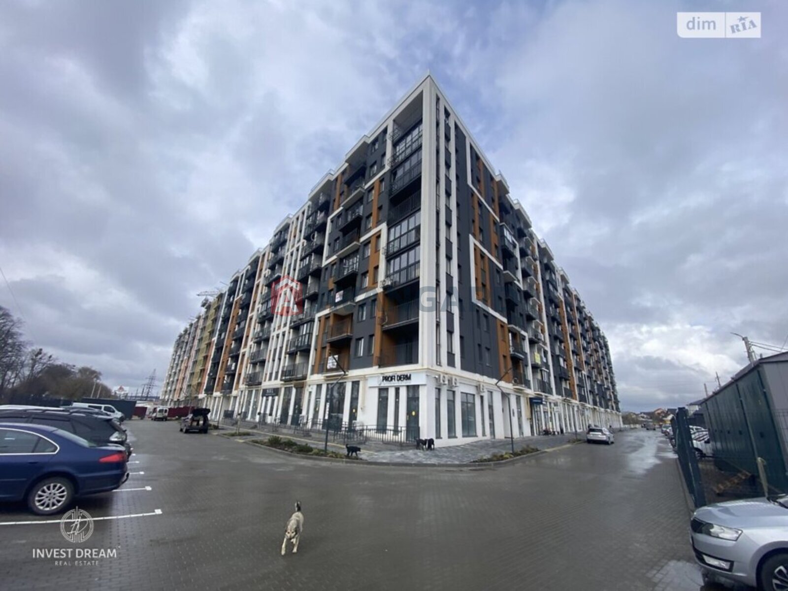 2 ��. ��������, 61/-/12 ��. �., 3/9 ������ ���� 1