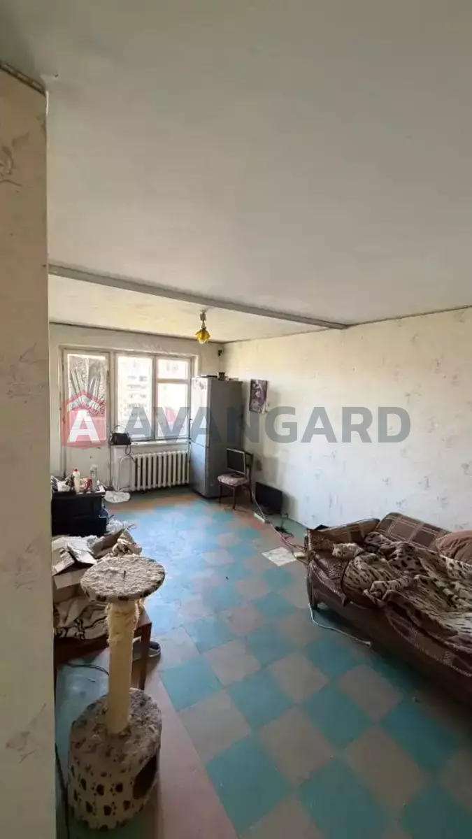 3 ��. ��������, 69/47/9 ��. �., 9/9 ������ ���� 9