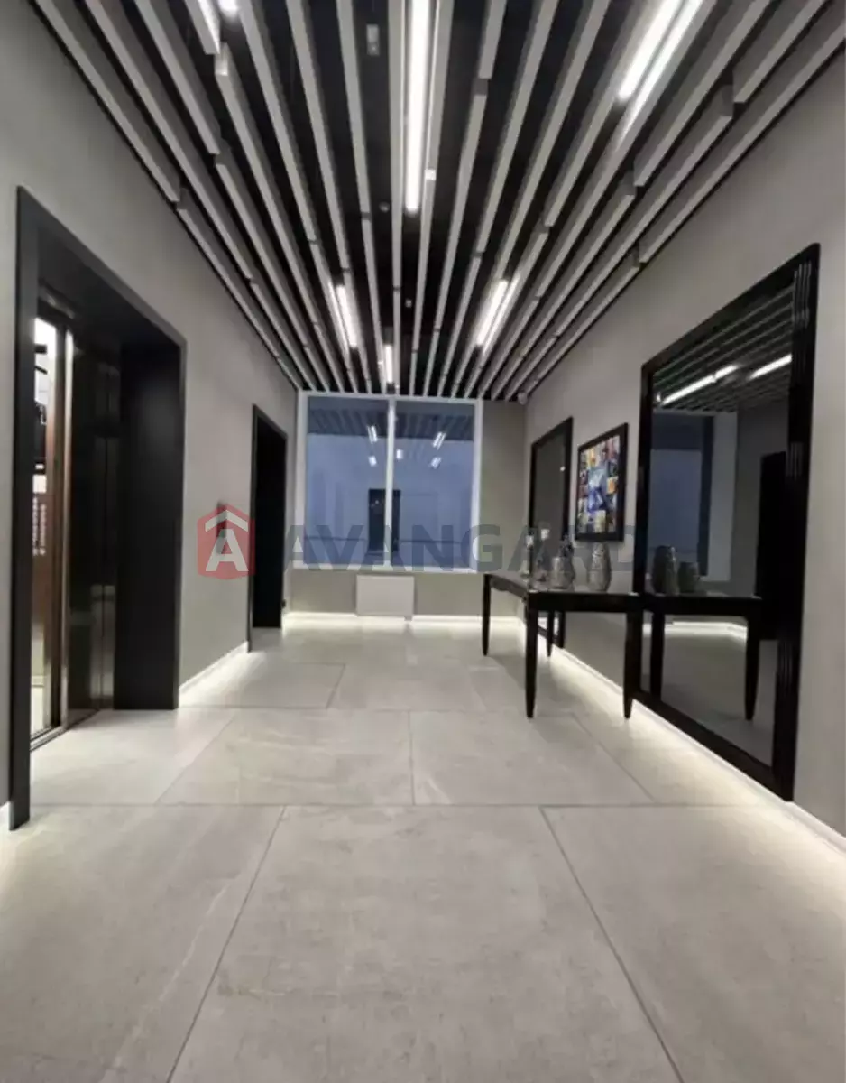 1 ��. ��������, 37/-/- ��. �., 10/19 ������ ���� 1