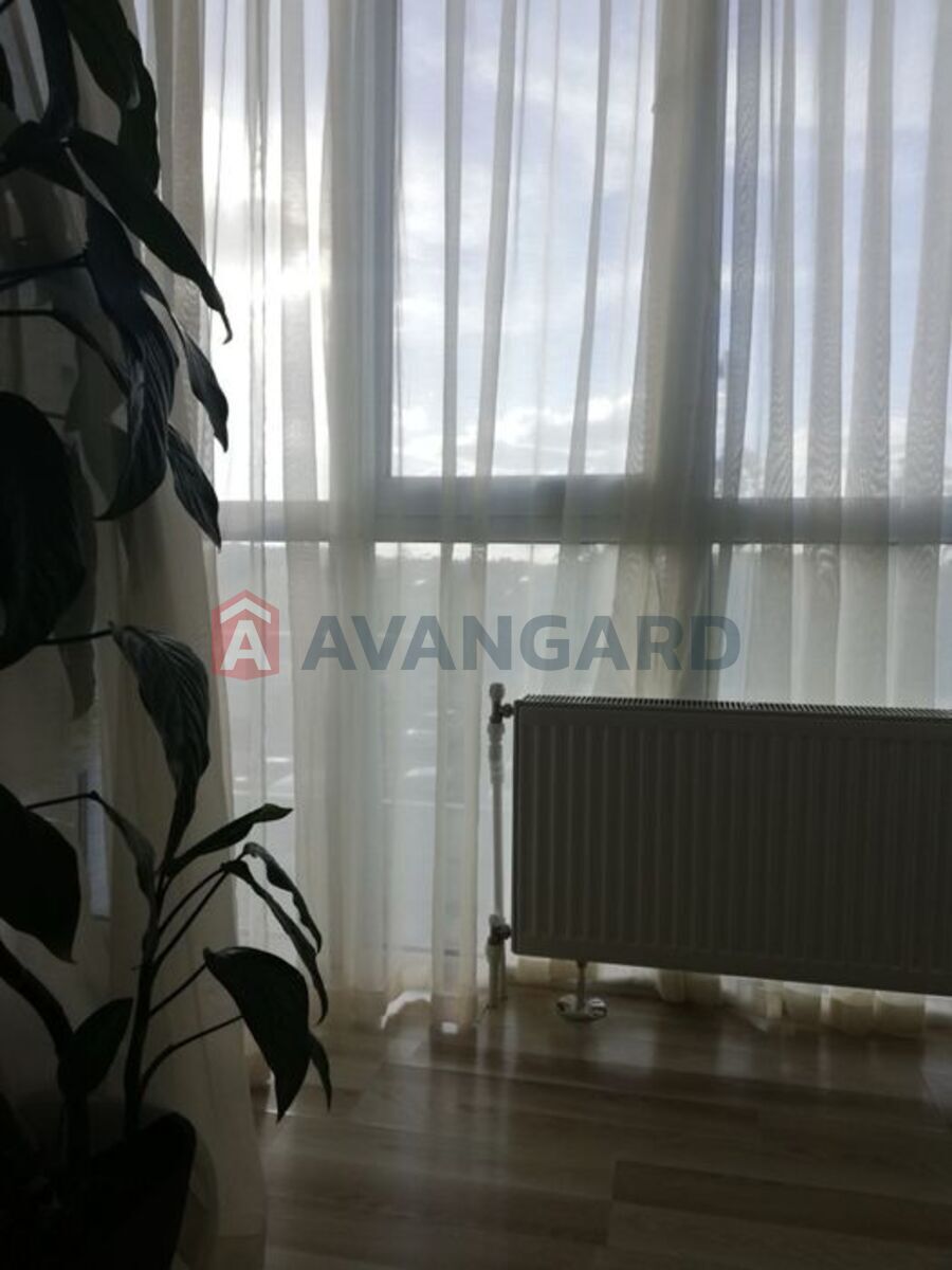 1 ����. ��������, 44/-/10 ��. �., 2/10 ���� ���� 8