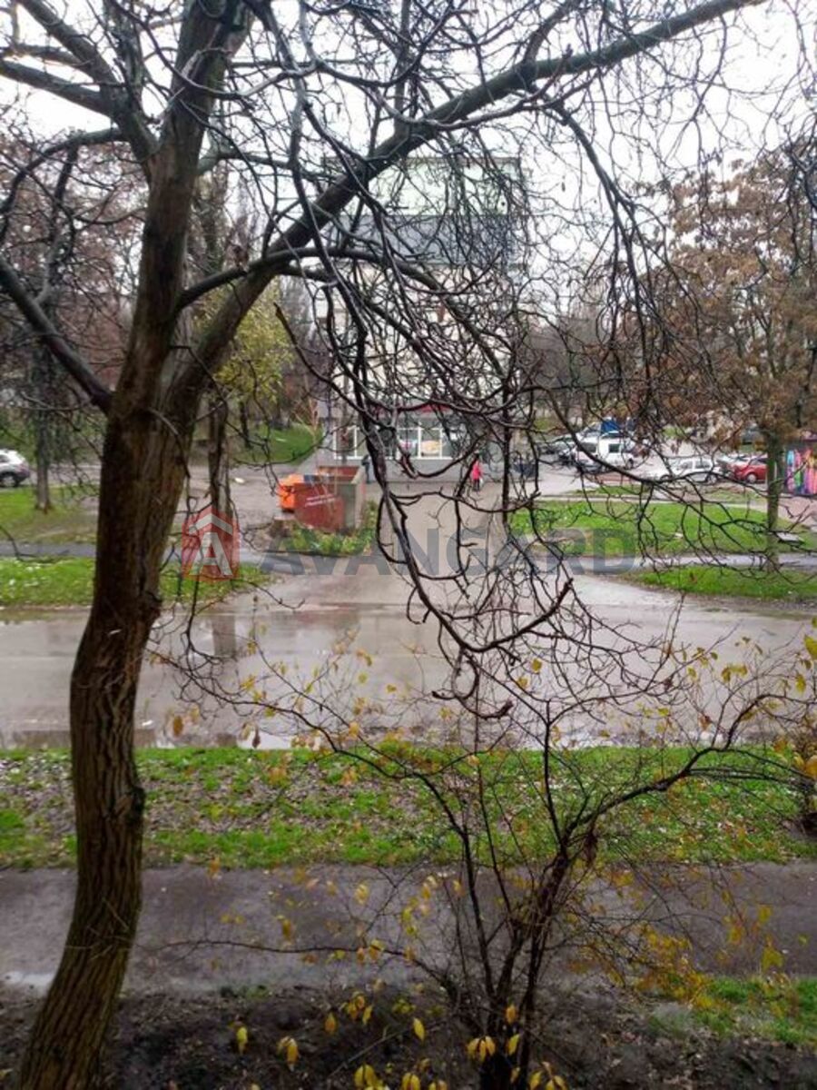 1 . , 29/-/6 . ., 2/5   2