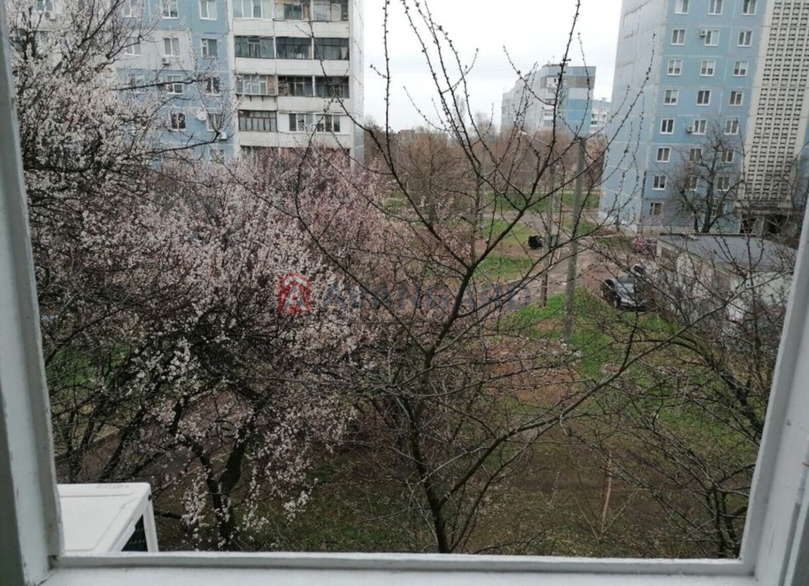 1 ����. ��������, 38/-/8 ��. �., 3/10 ���� ���� 23