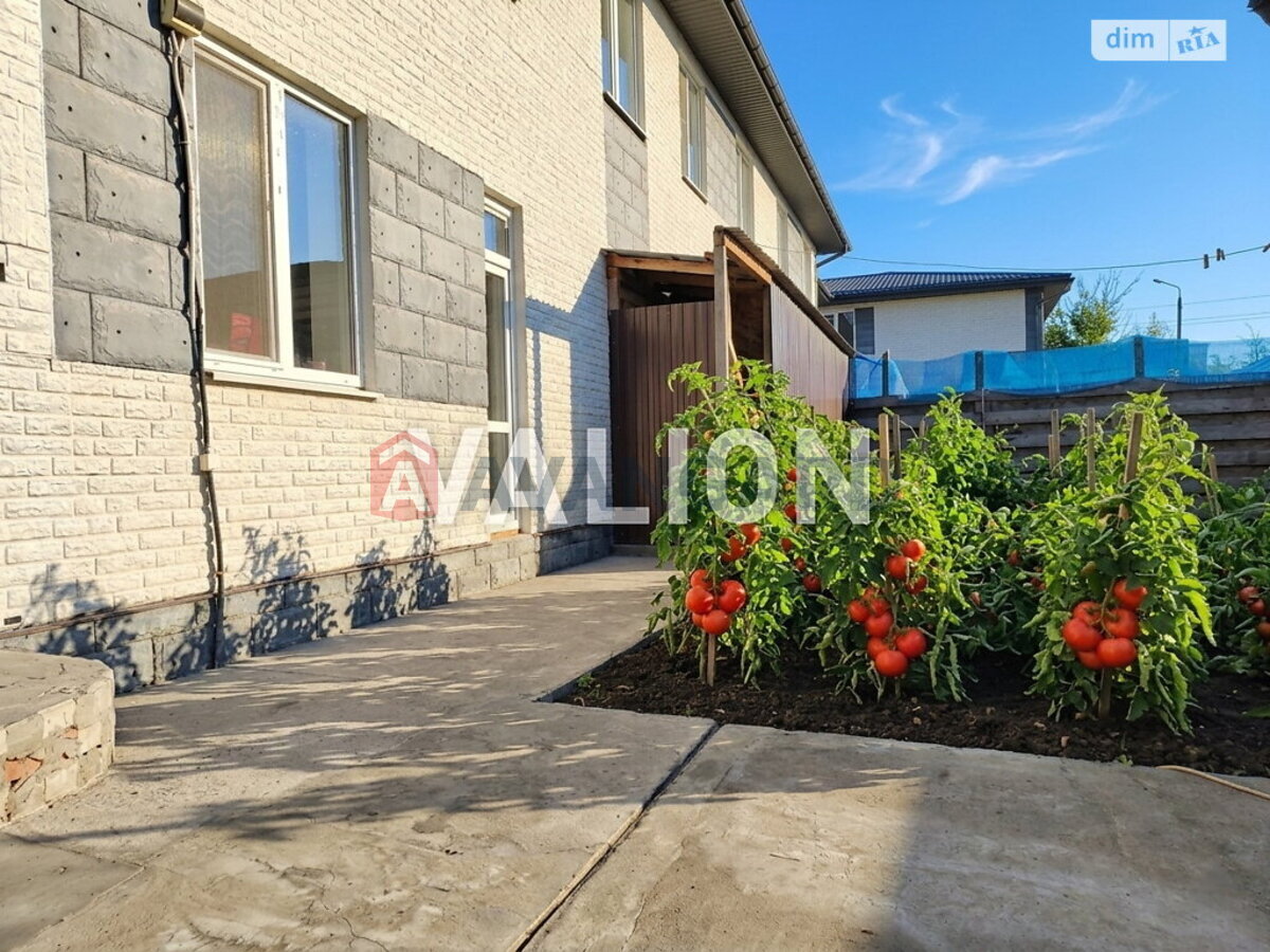 1 ��. ��������, 40/29/12 ��. �., 1/2 ������ ���� 16