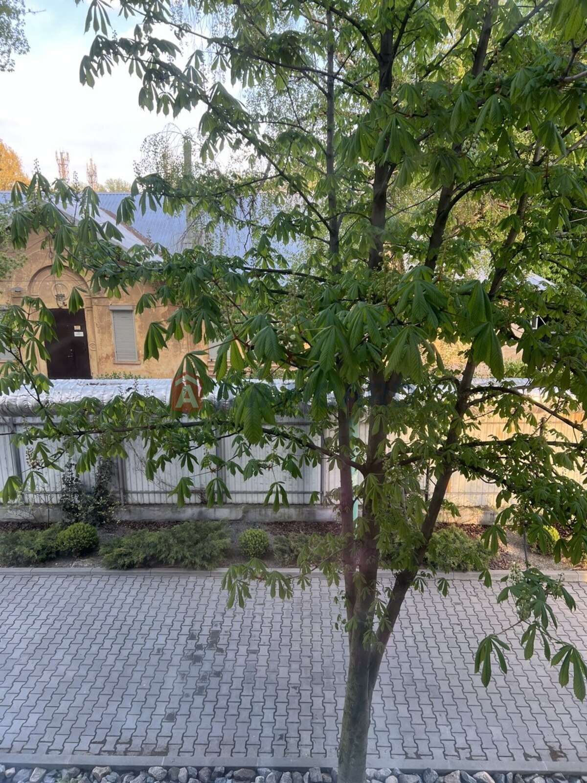 2 ��. ��������, 50/30/7 ��. �., 2/5 ������ ���� 6