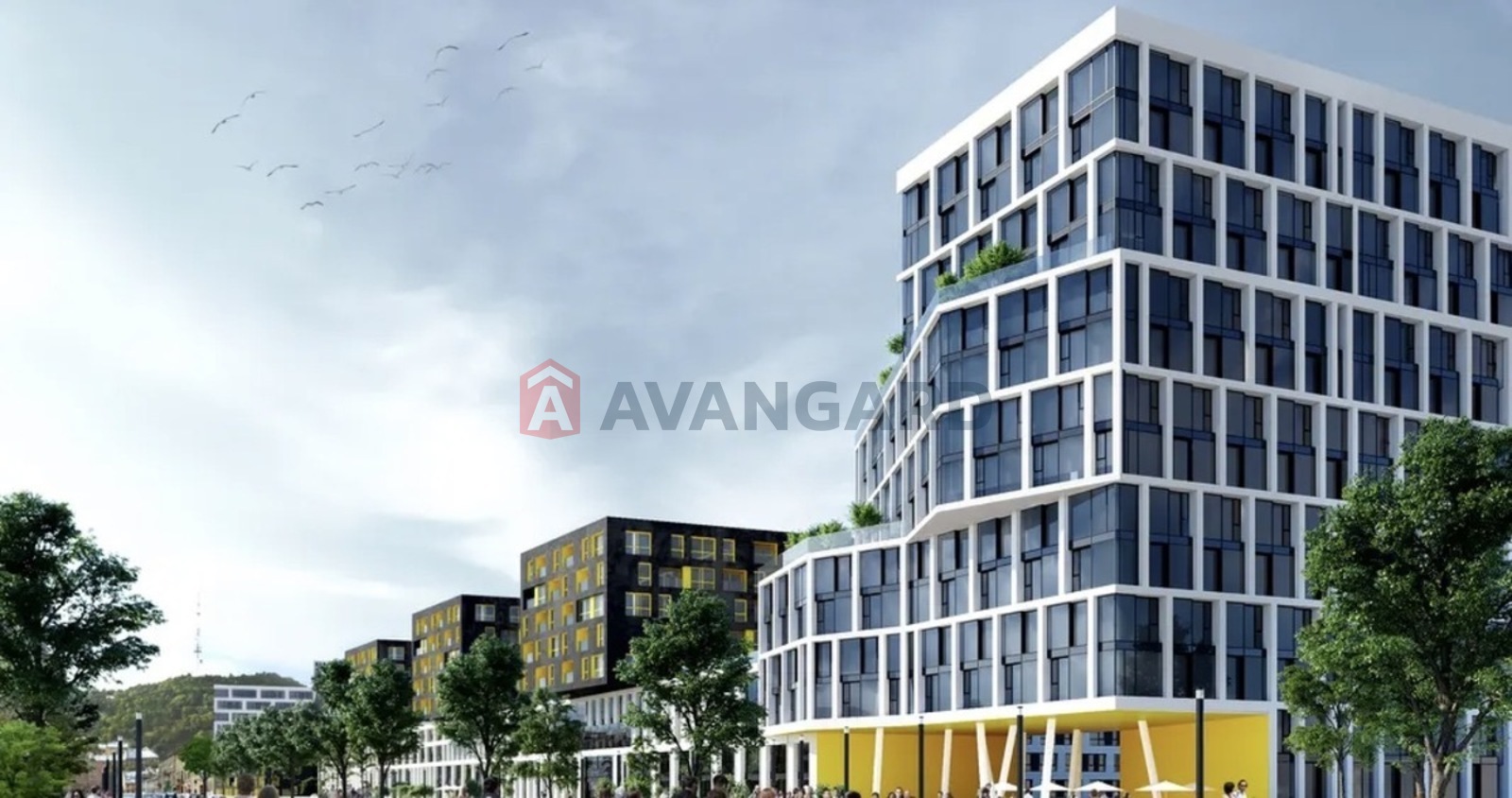 2 ��. ��������, 81/55/19 ��. �., 10/10 ������ ���� 4