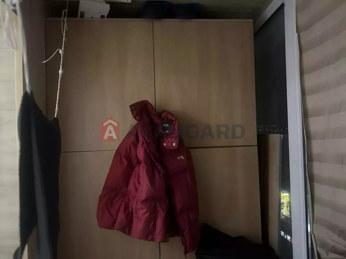 1 . , 37/-/9 . ., 11/16   5