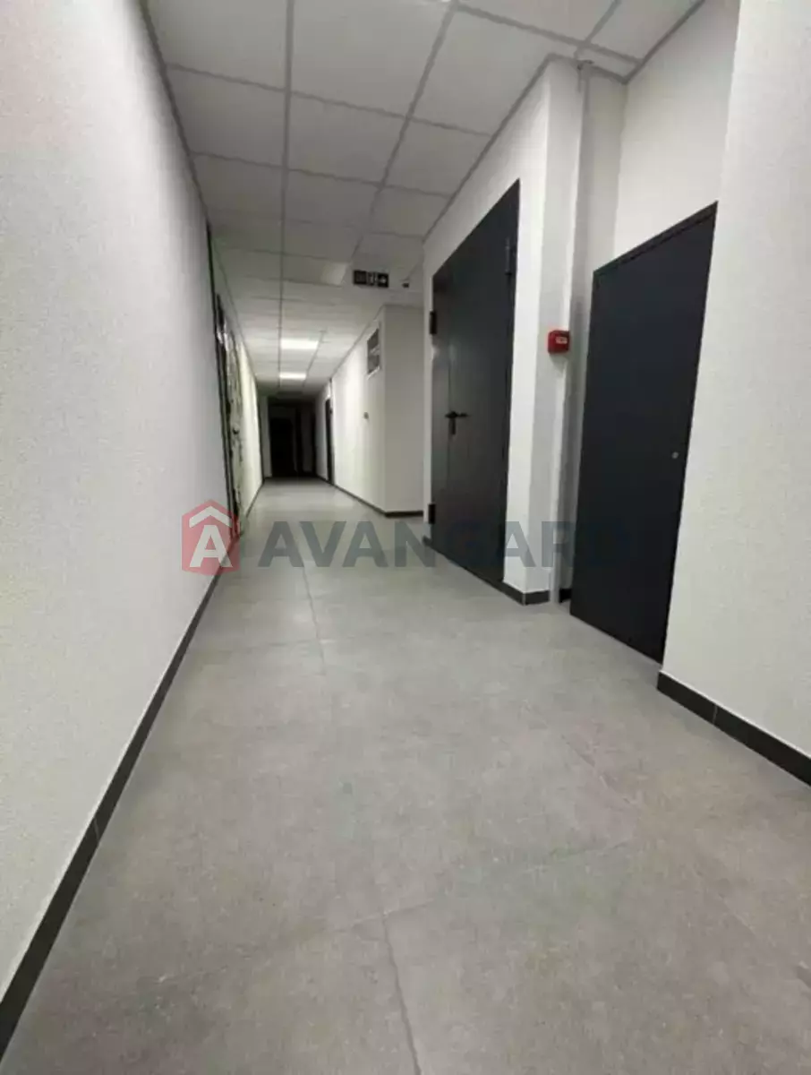 1 ����. ��������, 45/-/15 ��. �., 2/10 ���� ���� 3