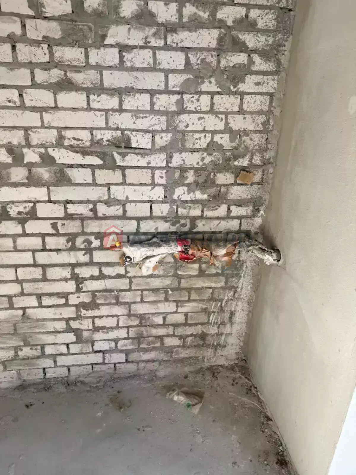 2 ����. ��������, 65/30/13 ��. �., 2/12 ���� ���� 12