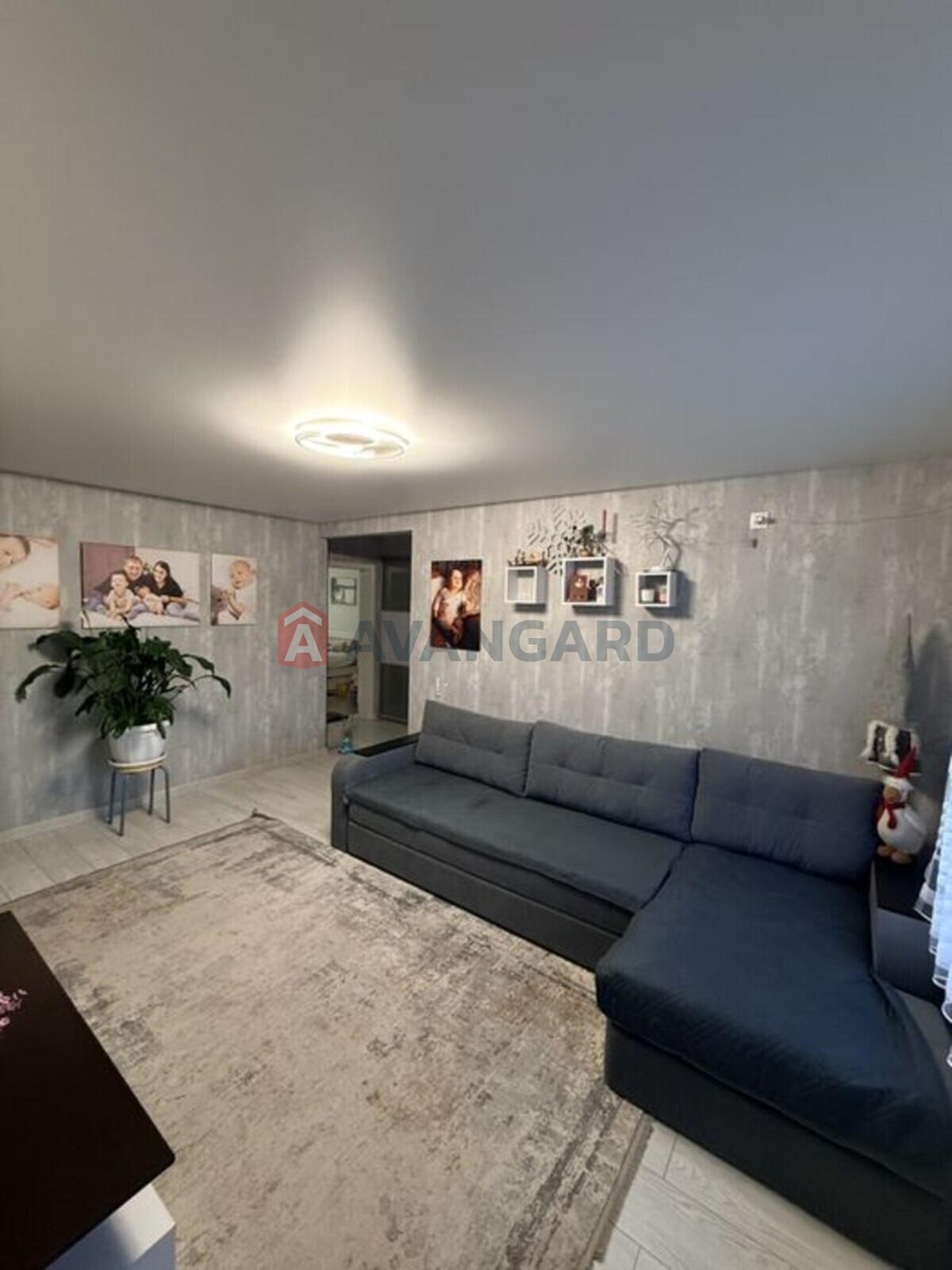 3 ����. ��������, 66/-/8 ��. �., 1/9 ���� ���� 1