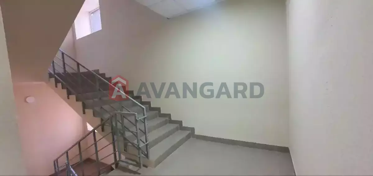 2 ��. ��������, 70/-/- ��. �., 8/10 ������ ���� 11