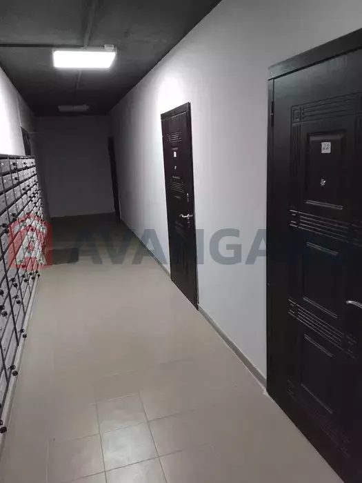 1 ��. ��������, 21/-/4 ��. �., 1/12 ������ ���� 16