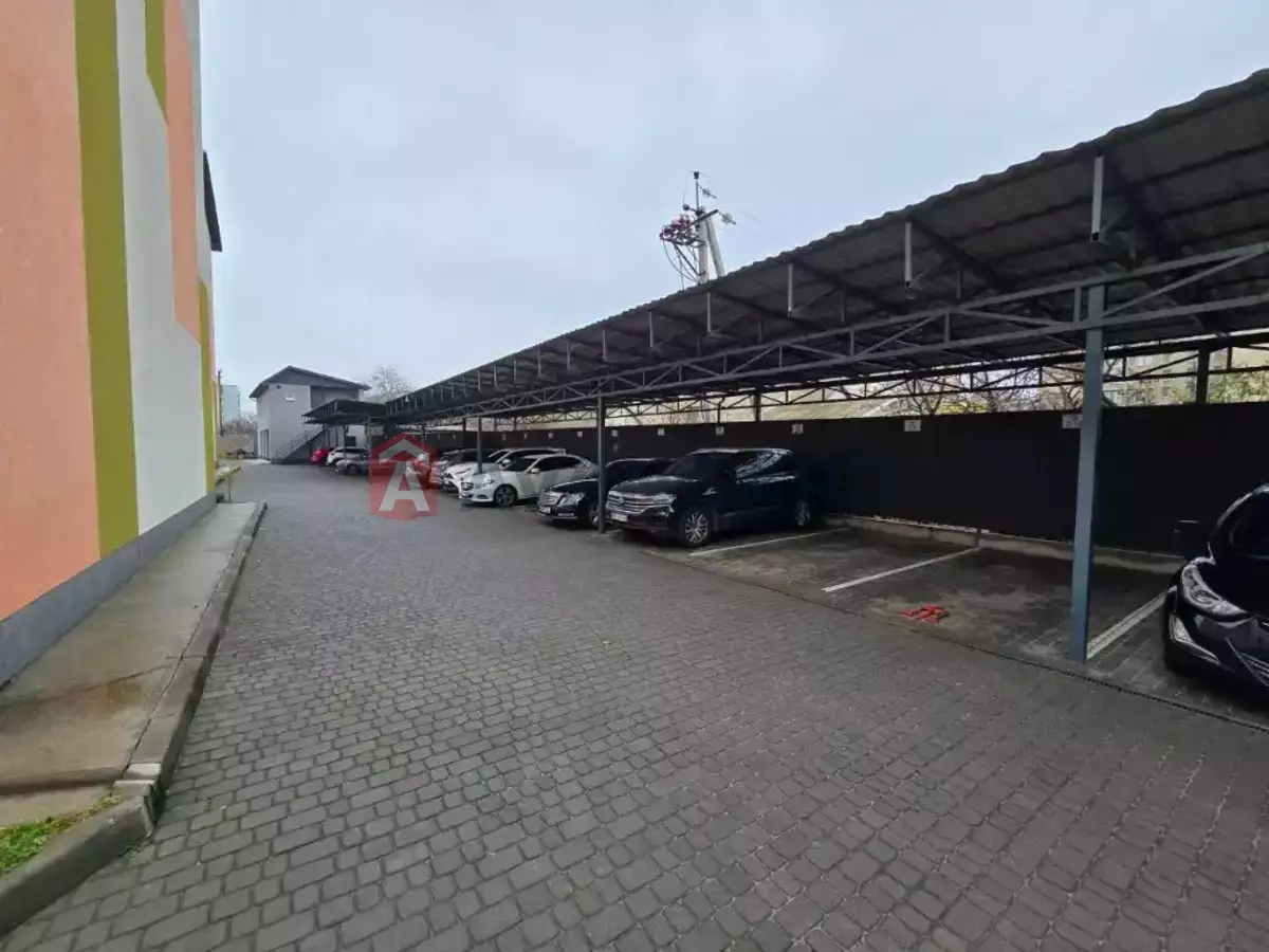 3 . , 56/-/- . ., 2/4   3