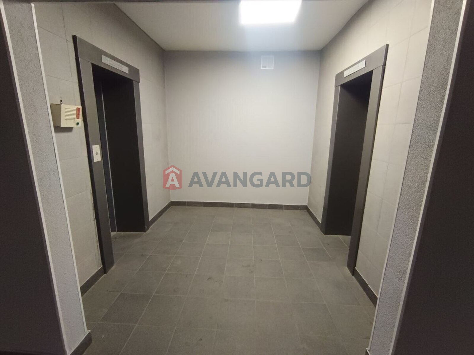 3 ��. ��������, 125/70/17 ��. �., 15/17 ������ ���� 19