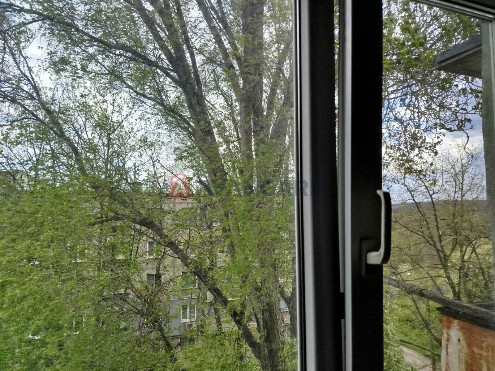 1 ����. ��������, 29,8 / 21 / 7.1 ��. �., 5/5 ���� ���� 6