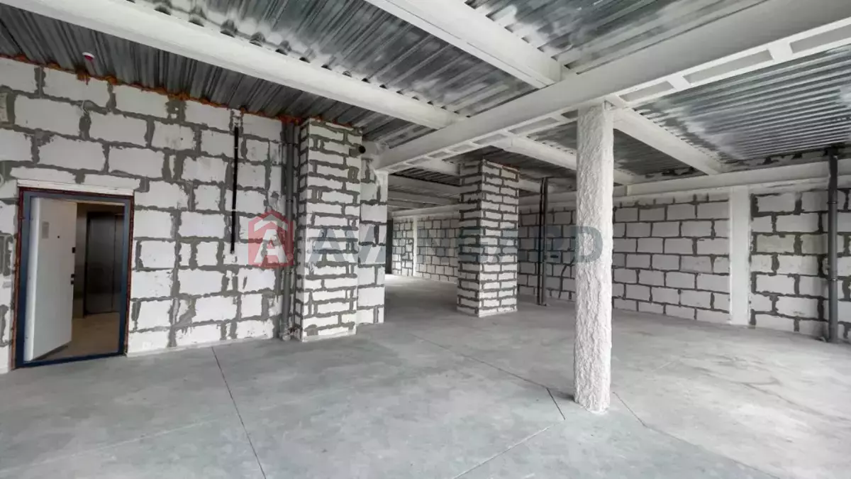 3 ��. ��������, 157/-/- ��. �., 18/18 ������ ���� 2