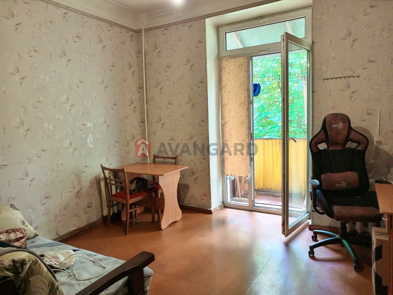 2 . , 48.9/31/5.7 . ., 3/3   6