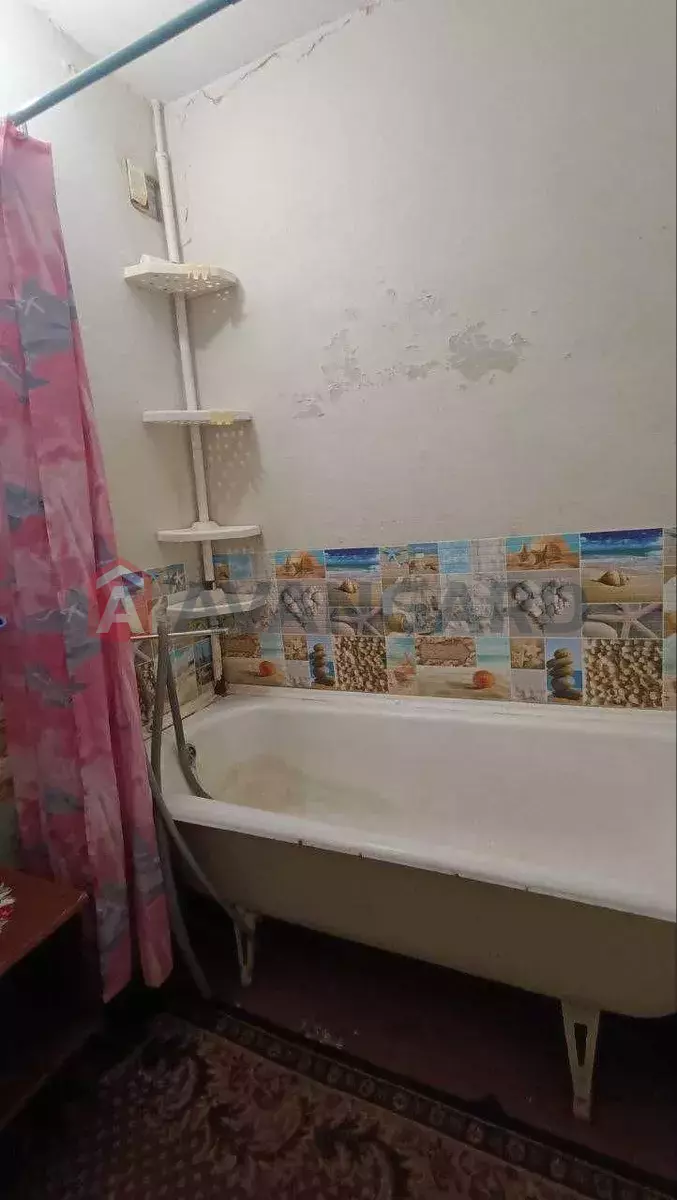 3 ����. ��������, 65/-/9 ��. �., 6/9 ���� ���� 10