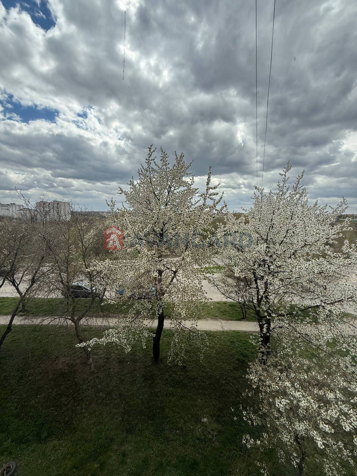 1 ��. ��������, 32/-/6 ��. �., 4/5 ������ ���� 14