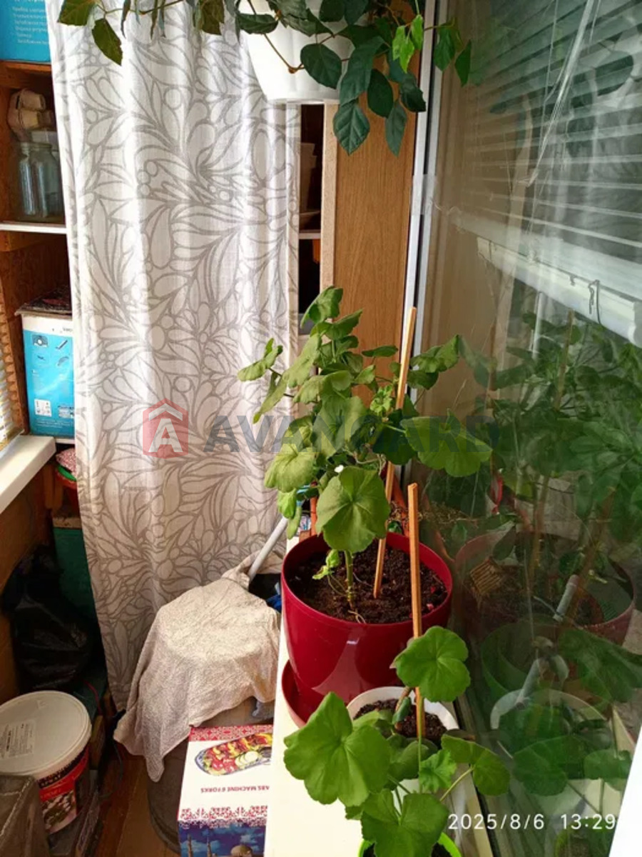 2 ��. ��������, 46/-/6 ��. �., 3/5 ������ ���� 13