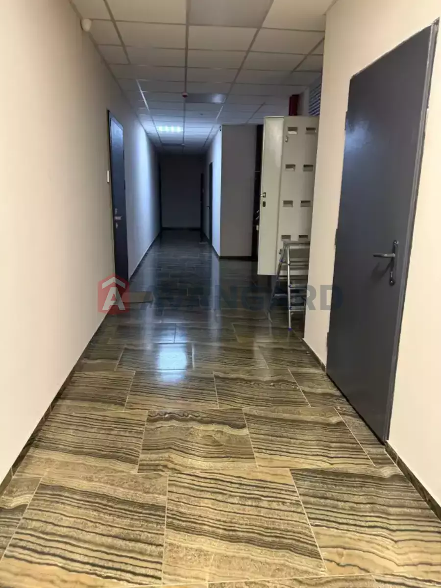 1 ��. ��������, 40/-/- ��. �., 8/19 ������ ���� 11