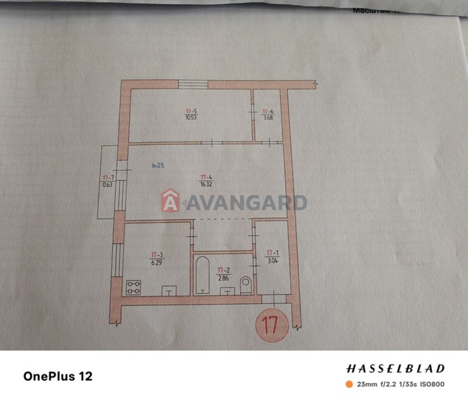 2 ��. ��������, 43/-/6 ��. �., 5/5 ������ ���� 1